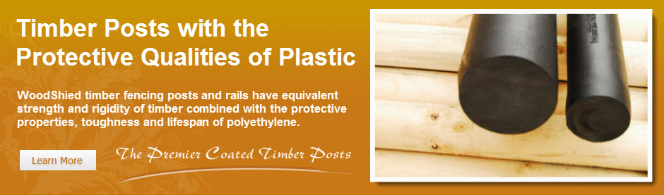 Equivalent Strength & Rigidity of Timber Equivalent Strength & Rigidity of Timber