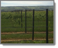 Row End and Standard Posts Row End and Standard Posts
