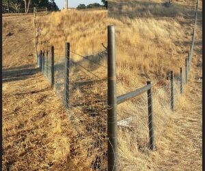 A Landcare Project for WoodShield