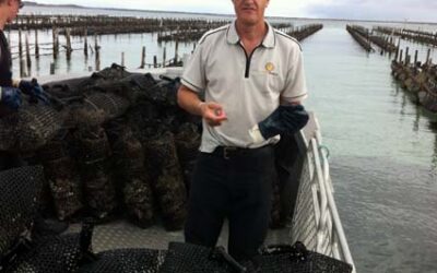 World Famous Oysters & Woodshield Posts