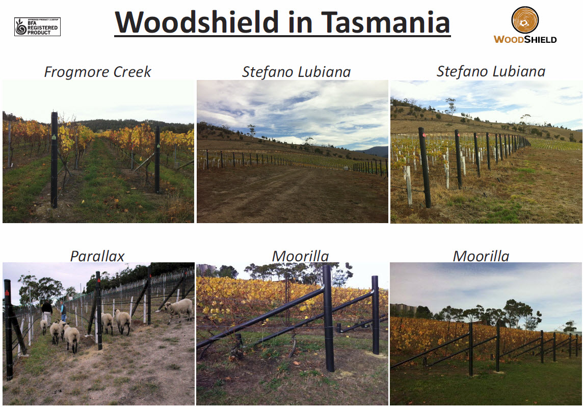 Woodshield in Tasmania