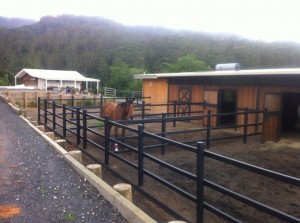 Woodshield Used in Sunny Hill Park Stable Yard