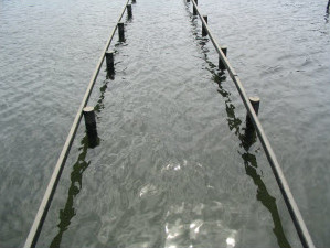 Post and Rail System Post and Rail System
