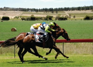 Woodshield Supports Australian Horse racing