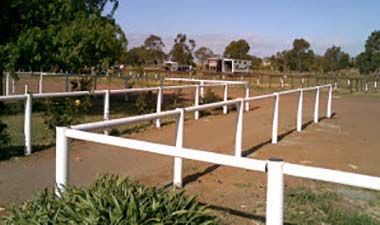 Suits Post and Rail Systems Suits Post and Rail Systems